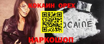 крисы Краснодар