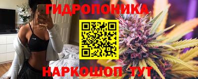 крисы Краснодар