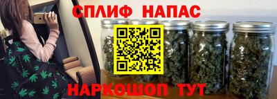 крисы Краснодар
