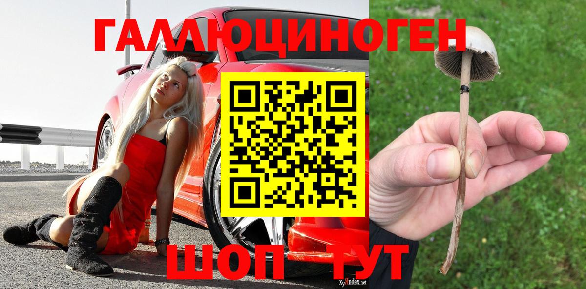 Псилоцибиновые грибы MAGIC MUSHROOMS  Вход с VPN  Галлюциногенные грибы Psilocybe  Шарыпово 