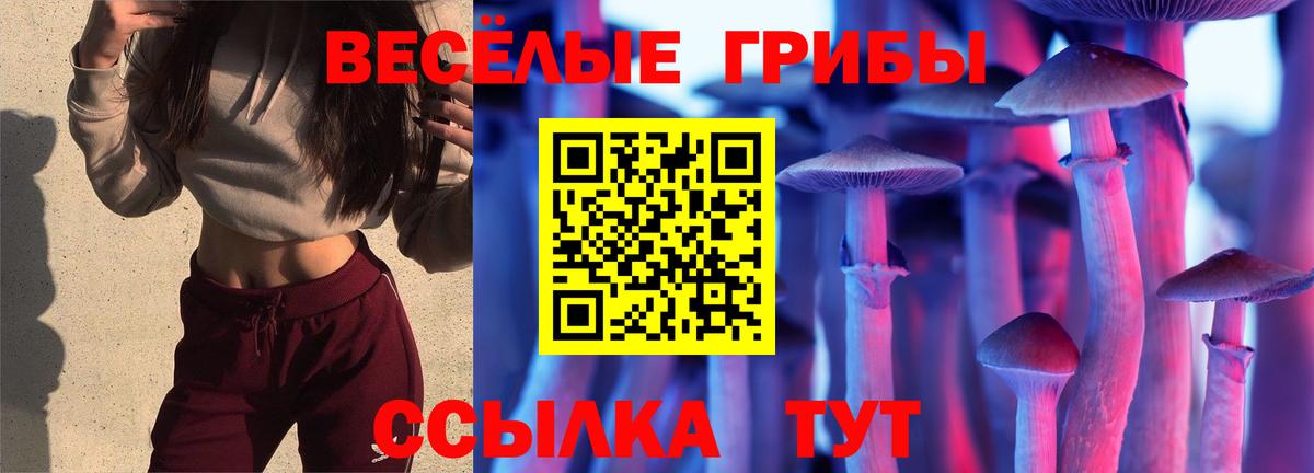 Галлюциногенные грибы прущие грибы Шарыпово